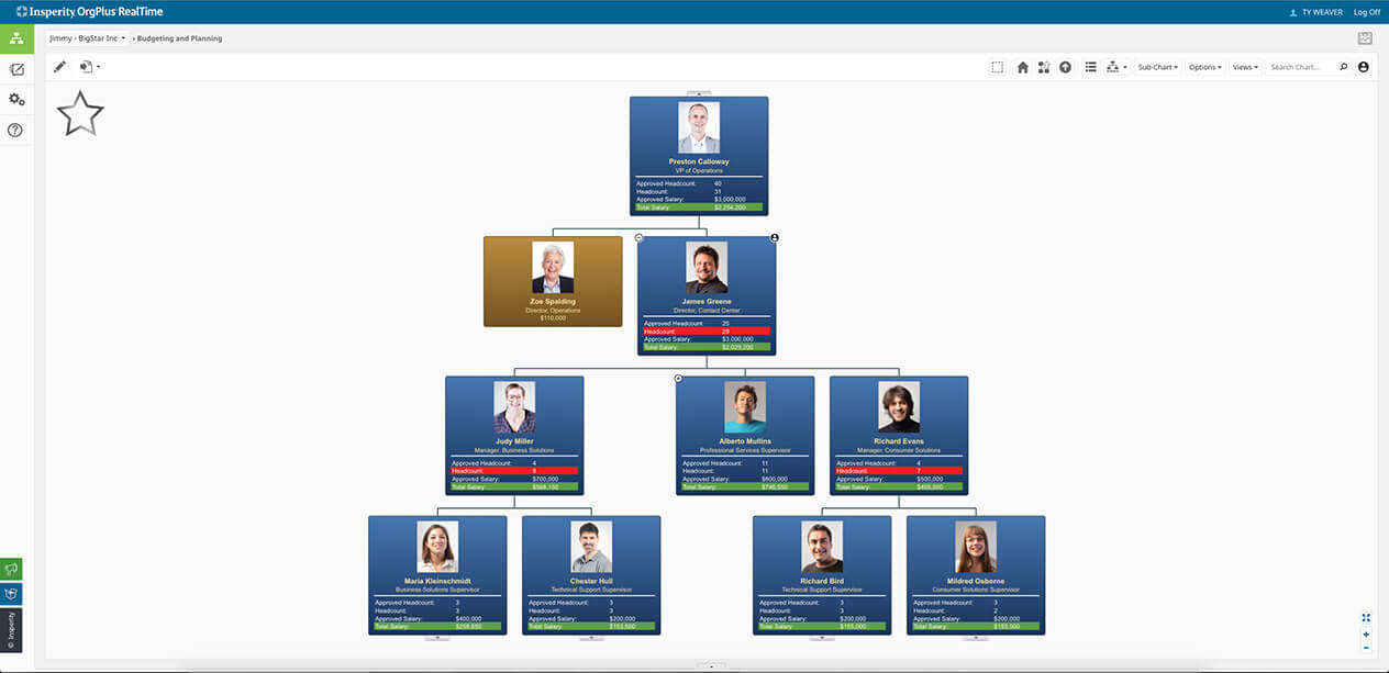 small business organizational chart for budget and planning