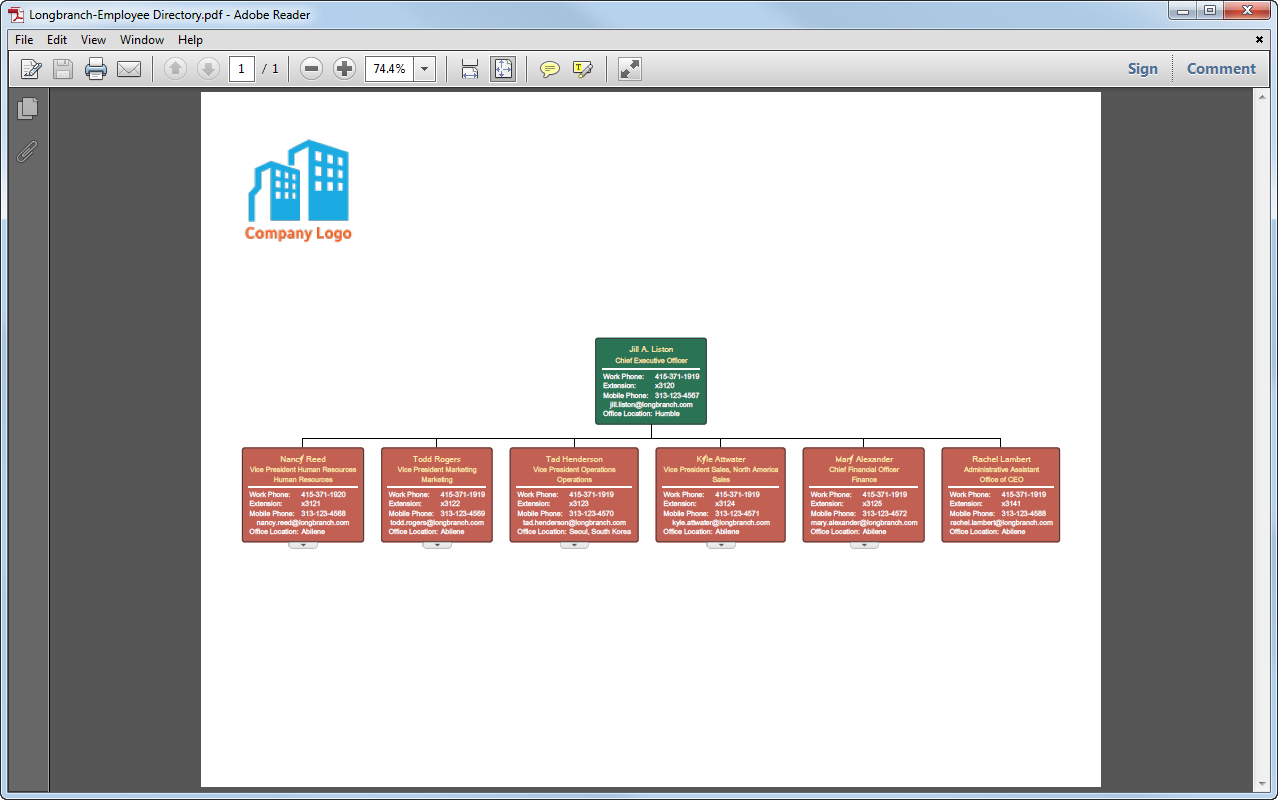 American Express Organizational Structure Chart