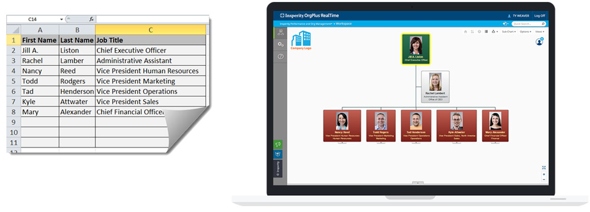 Orgplus Organization Chart