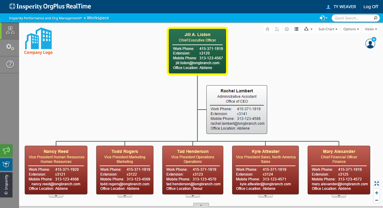 American Express Organizational Structure Chart